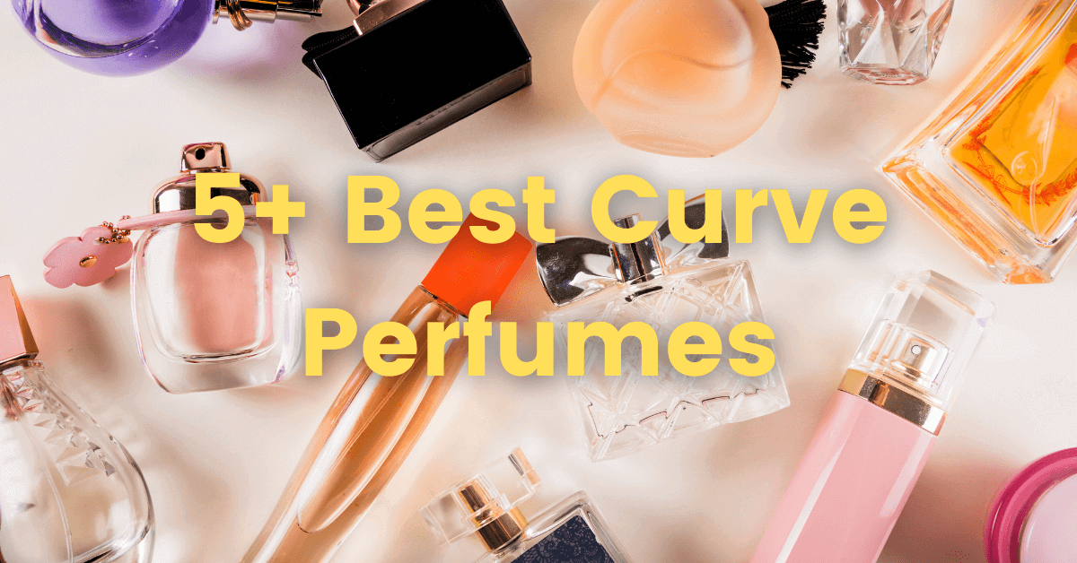 5+ Best Curve Perfume